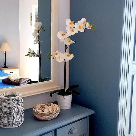 Apartment Serenity - Adults-only Barbati
