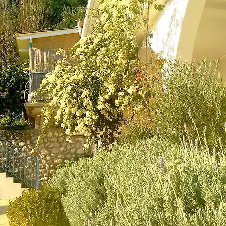 Apartment Serenity - Adults-only Barbati