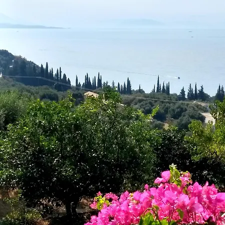 Apartment Serenity - Adults-only Barbati